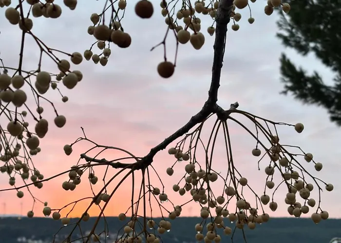 Karla * Gornji Karin